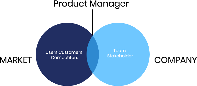 Team–Stakeholder