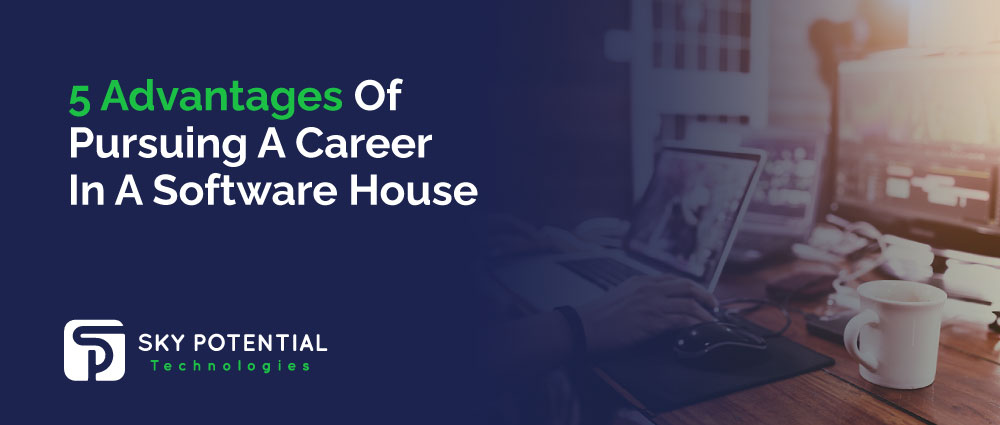 Career In A Software House